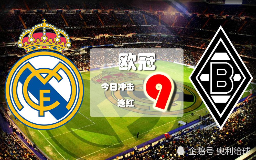 明尼苏达森林狼 明尼苏达森林狼