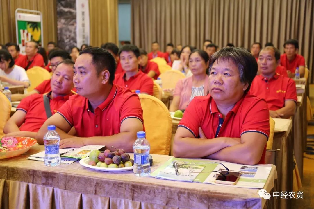 欧博abg-广西恒丰进出口贸易有限公司